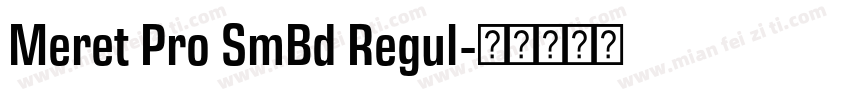 Meret Pro SmBd Regul字体转换